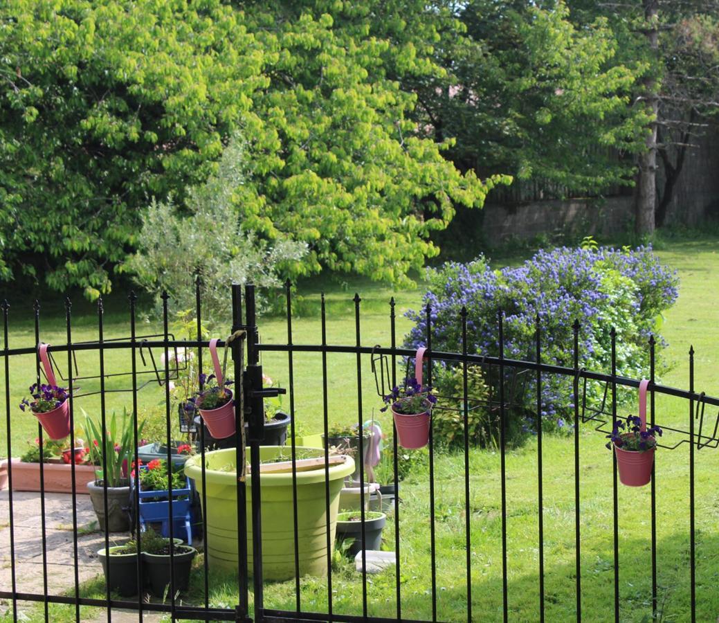 Chez Martine Et Bernard Bed & Breakfast Saint-Vincent-Sterlanges Luaran gambar